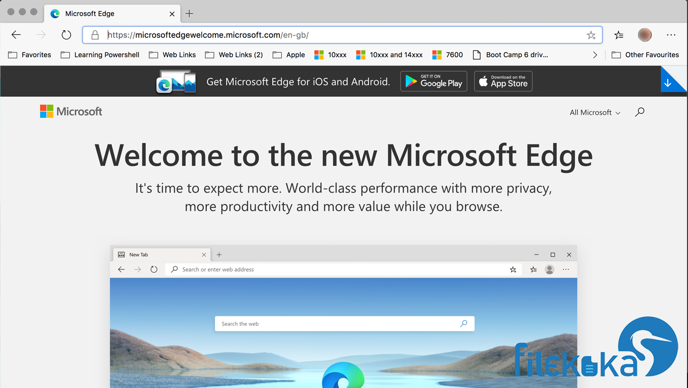 Microsoft Edge